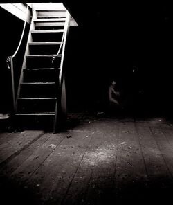 Basement 1558 (1)