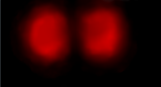 File:Mothy.png