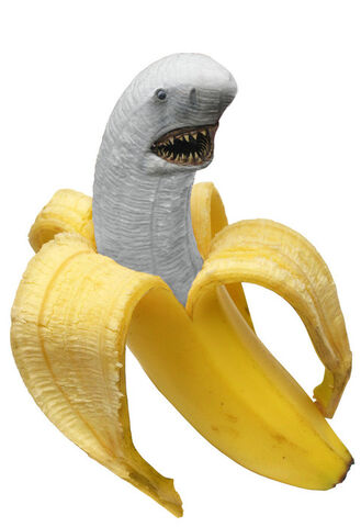 File:BANANA SHARK.jpg