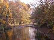 River Goyt in Woodbank Park - geograph.org.uk - 730720