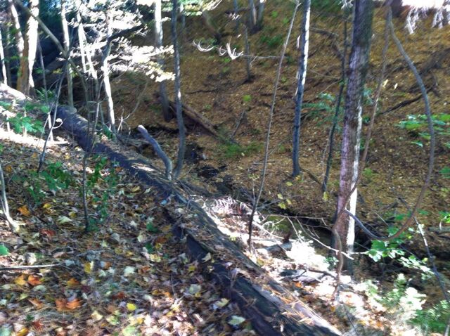 File:Ravine yet again.jpg