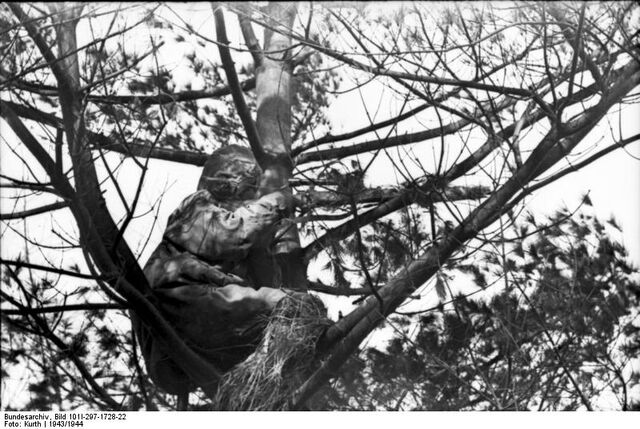 File:Sniper in the tree.jpg