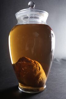 Large apothecary heart jar 100 73983 zoom