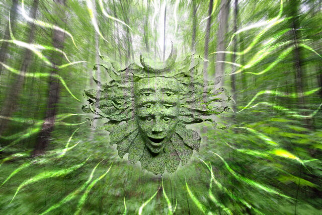 File:Shpongle Woods by lokispace.jpg