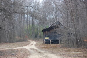 House in woods