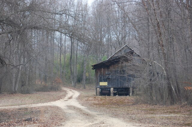 File:House in woods.jpg