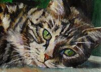 Brown-tabby-cat-mary-jo-zorad