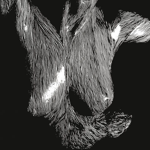 File:Oceansize-pin1.jpg