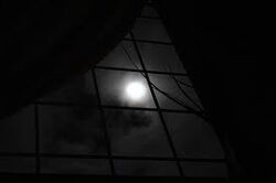 Moonlight
