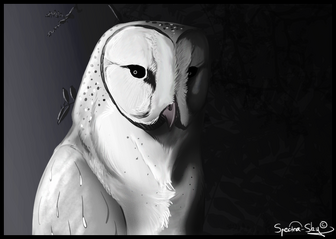 Owl Reaper