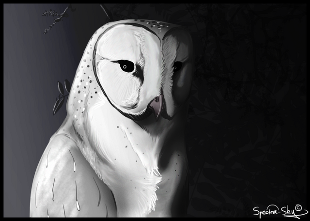 File:Owl Reaper.png