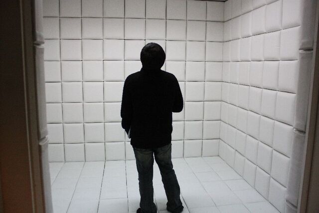 Datei:Mens-5.jpg