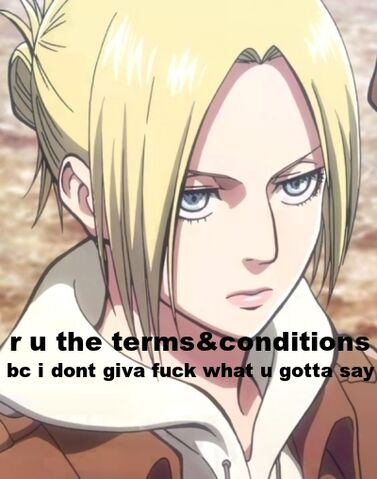 File:Termsandcondtions.jpg