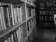 Old bookshelves