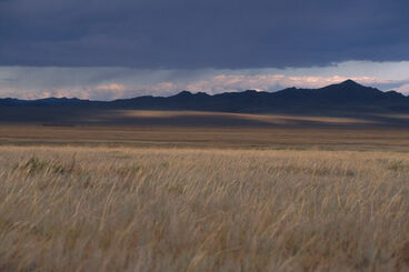 Steppe-tuv