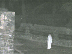 Tweaked-image2