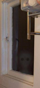 FaceInWindow