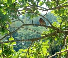 Images-1417404594