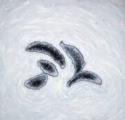 El