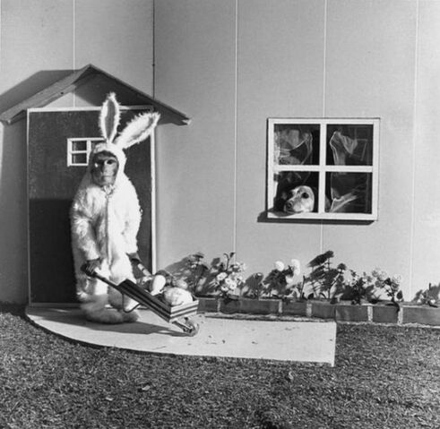File:My house.jpg