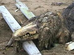 SCP-682 Bild.jpg