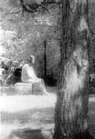 File:Bachelor-grove-cemetery.jpg