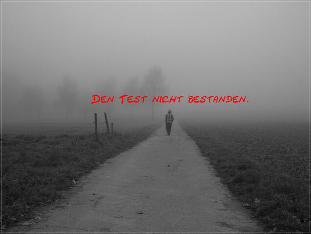 Datei:DenTest.jpg