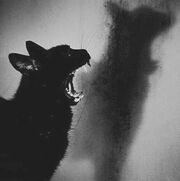 Tumblr mj0ilfIwvF1s3kji9o1 500