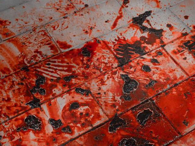 File:Blood-32.jpg