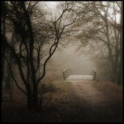 Creepy-clasic-road---bride-alone