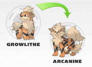 GrowlCanine