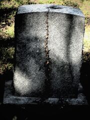 Grave vine