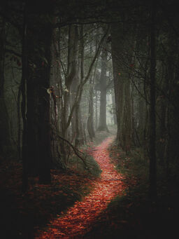 Path-1