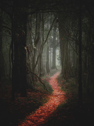 File:Path-1.jpg