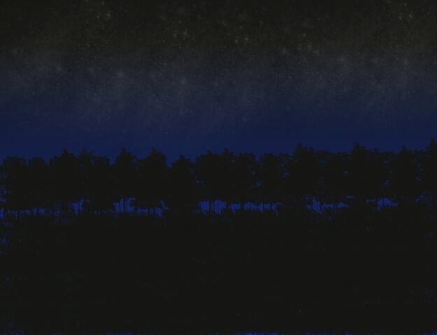 File:Nighttime forest by Shading Dreams.jpg
