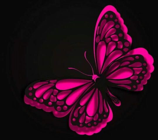 File:FB IMG 1436553965317.jpg