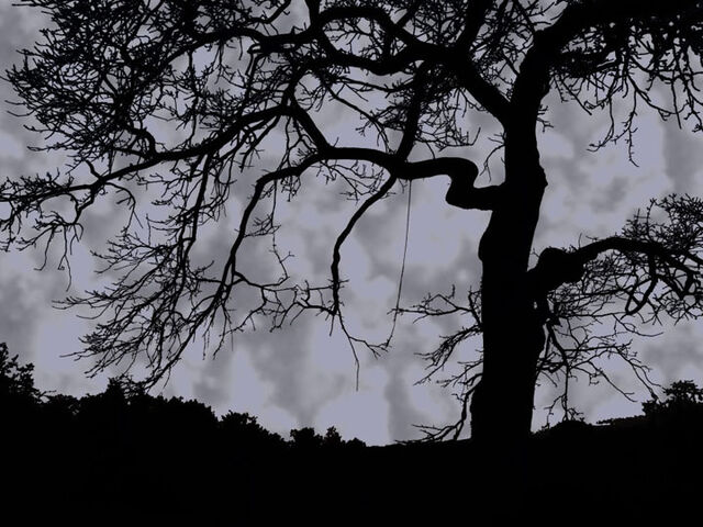 File:CreepyTree.jpg