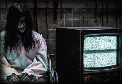 Img attraction DP Asylum