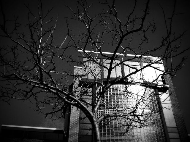 File:Haunted school by ScarletSayvia.jpg