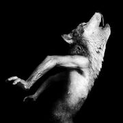 Tumblr lnghisttwx1qezu9fo1 500