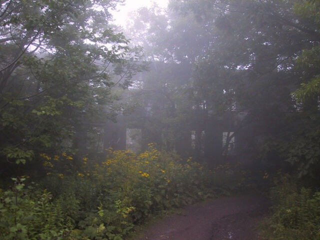 File:Pshot17.jpg