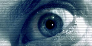 Thesignal-01