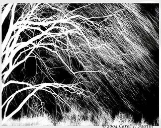 WEEPING-WILLOW-TREE-IN-BLACK-AND-WHITE