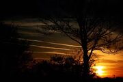 CreepySunset