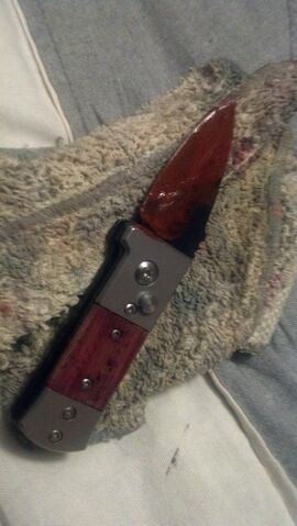 File:Evin's knife.jpg
