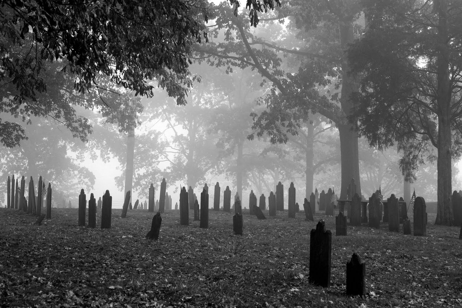 Hasil gambar untuk cemetery