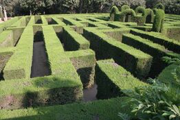 Irrgarten