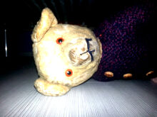 TEDDY JA Kopie
