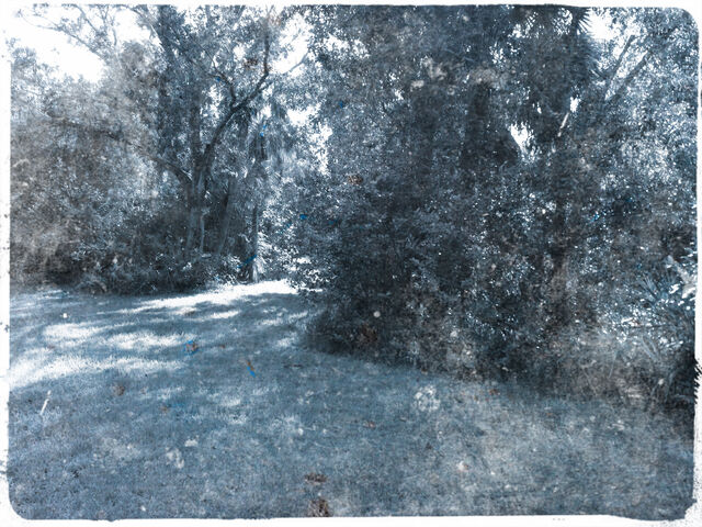File:Path.jpg