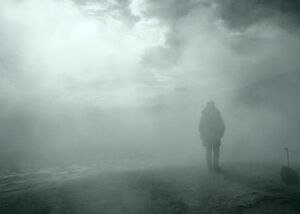 20080619223142-niebla